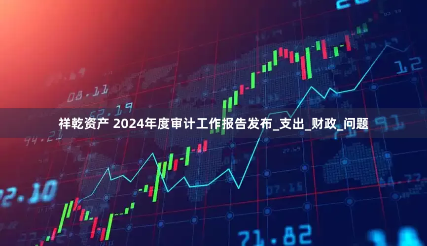 祥乾资产 2024年度审计工作报告发布_支出_财政_问题