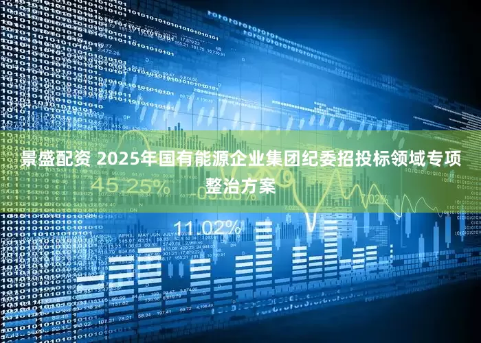 景盛配资 2025年国有能源企业集团纪委招投标领域专项整治方案